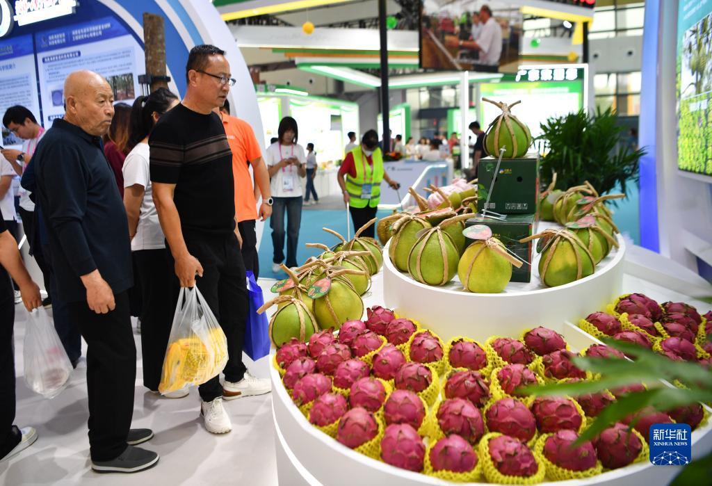 白菜送彩金大全网